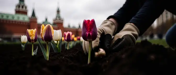 Разноцветное цветение столицы: в Москве началась подготовка к весеннему преображению городских клумб